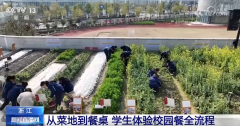 ”查抄完成后